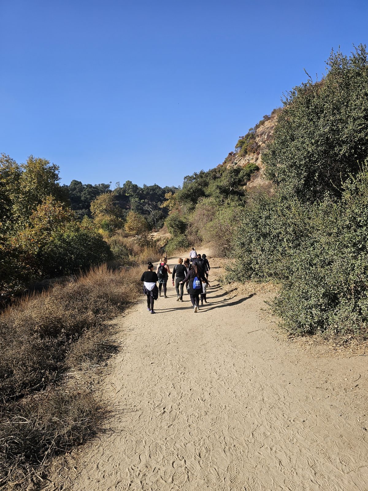 JDIO group hike